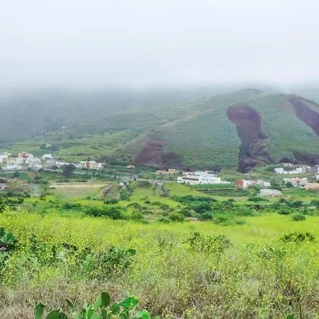 Ciruelo - Paz Y Senderos En Area Natural Protegida De Teno * Buenavista del Norte